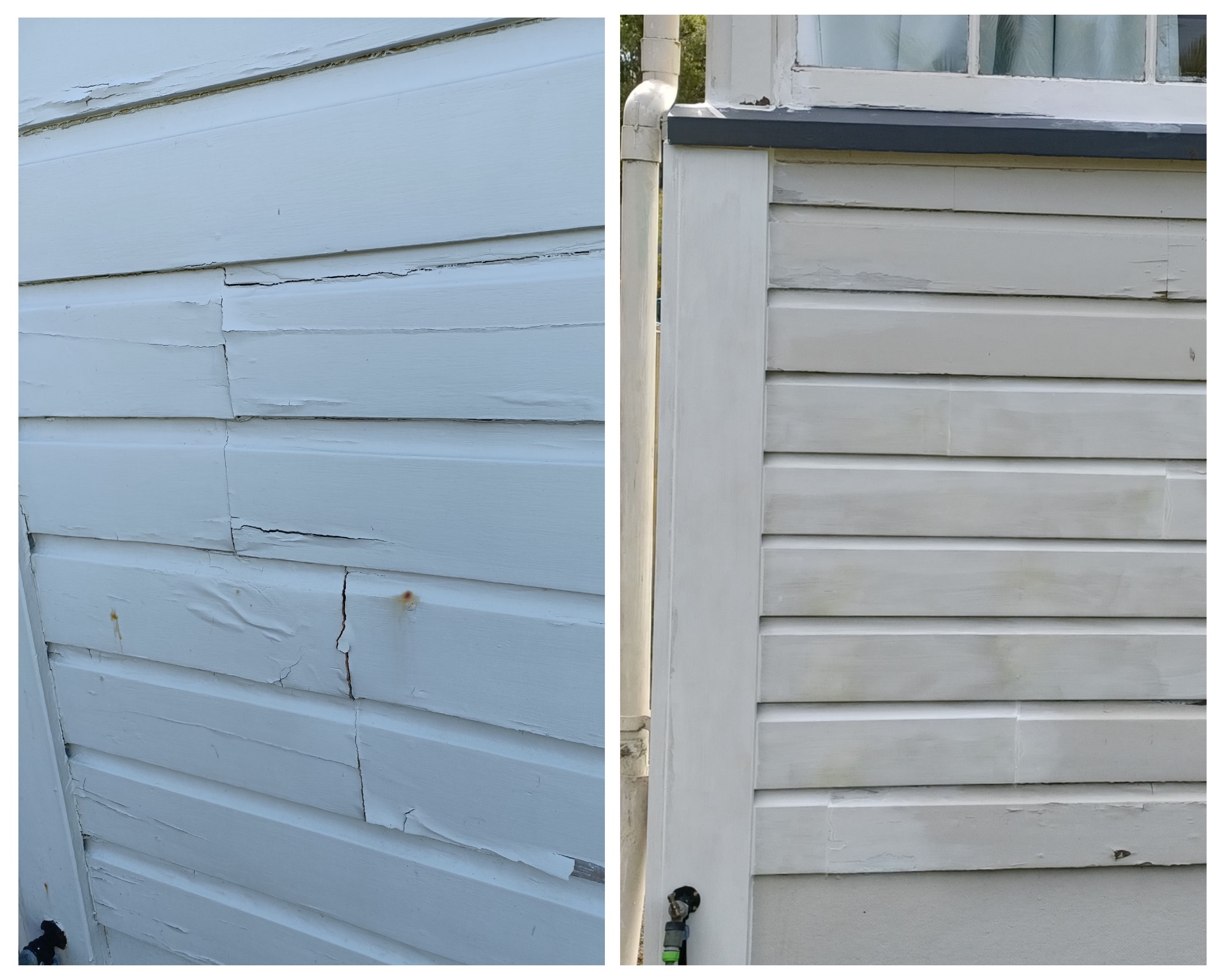 Building project by Toomey Building, Dunedin